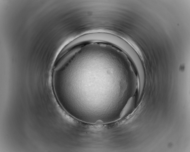 X0000099500813200805291127