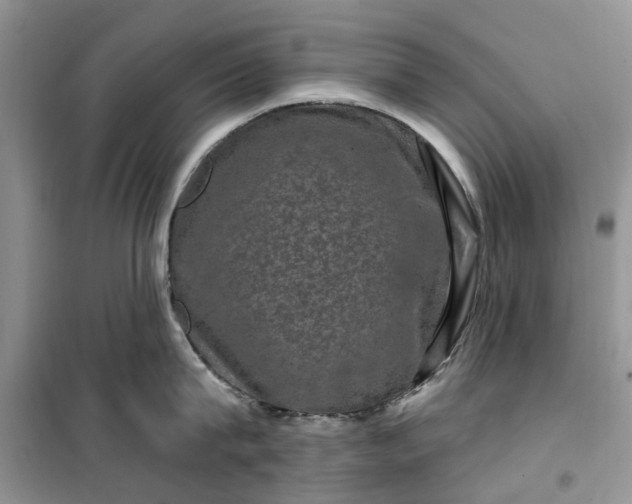 X0000099500815200805291127