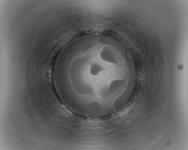 X0000099500818200805291126