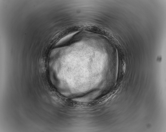 X0000099500819200805291126