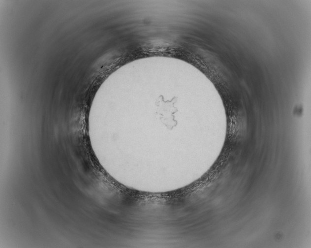 X0000099500820200805291126