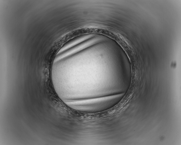 X0000099500821200805291126