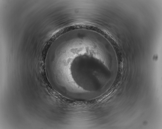 X0000099500822200805291126