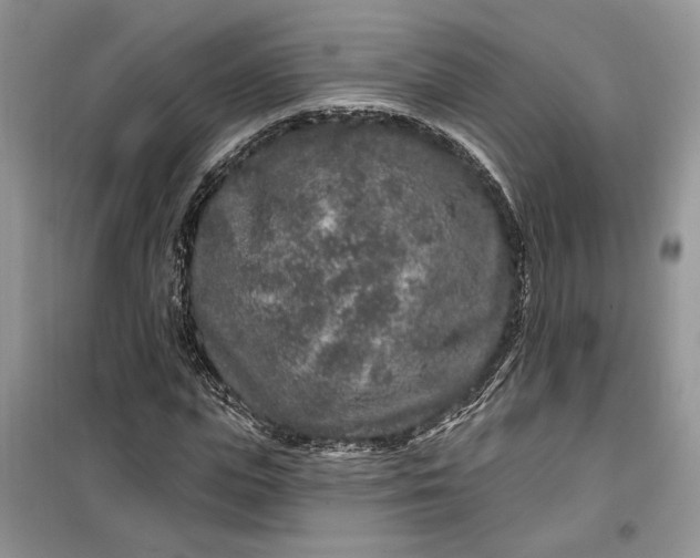 X0000099500823200805291126