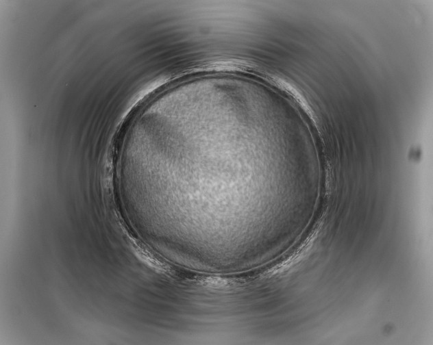 X0000099500827200805291126