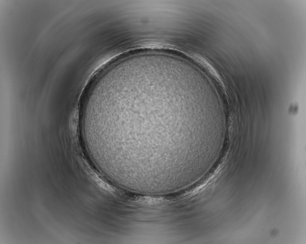 X0000099500831200805291126