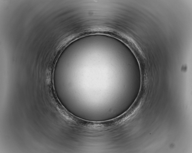 X0000099500833200805291126