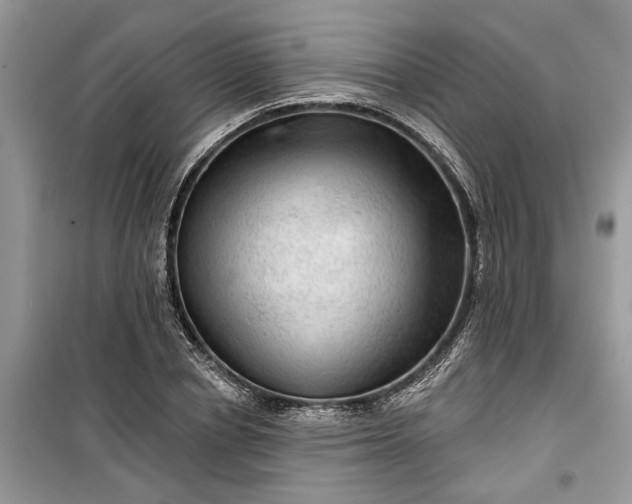 X0000099500834200805291126