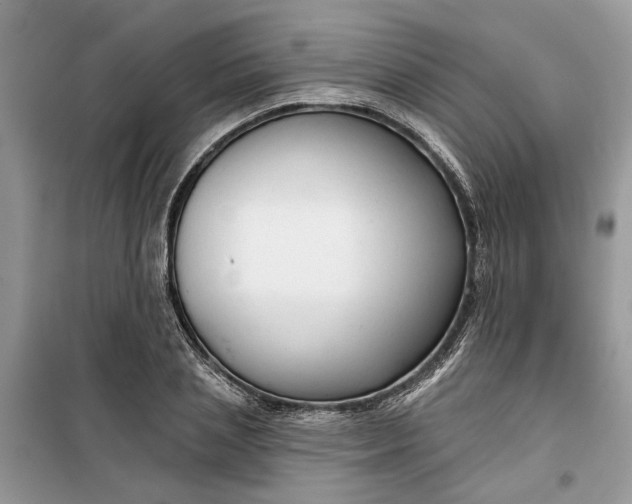 X0000099500837200805291126