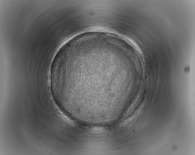 X0000099500839200805291126