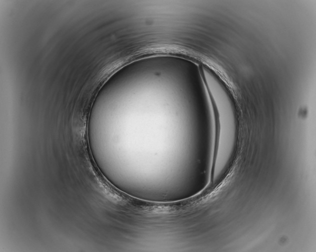 X0000099500841200805291126