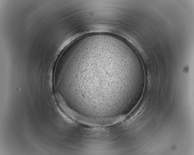 X0000099500842200805291126