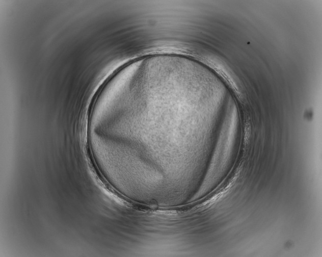 X0000099500844200805291126