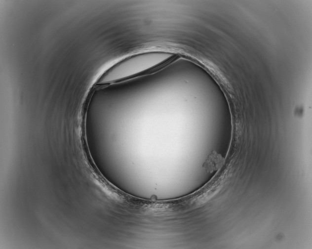 X0000099500846200805291126