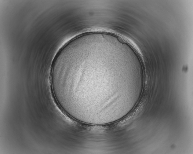 X0000099500847200805291126