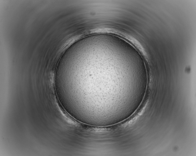 X0000099500849200805291126