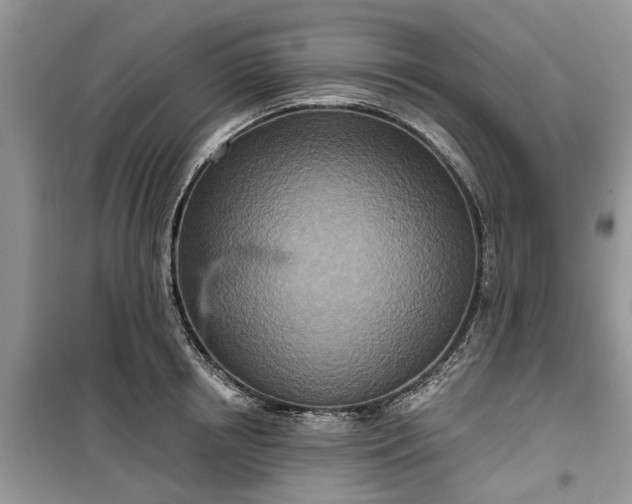 X0000099500850200805291126