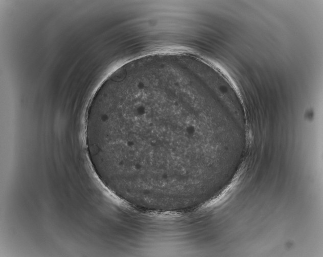 X0000099500851200805291126