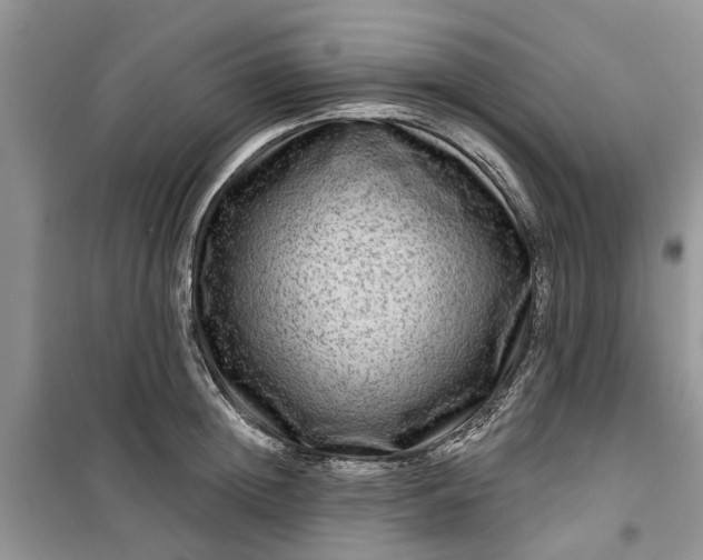 X0000099500852200805291126