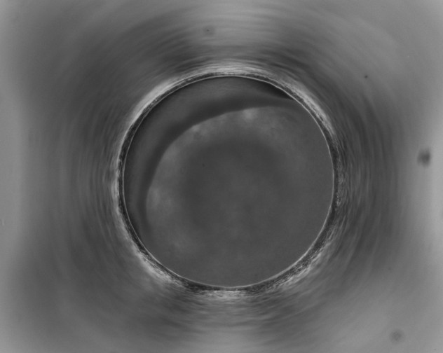 X0000099500853200805291126