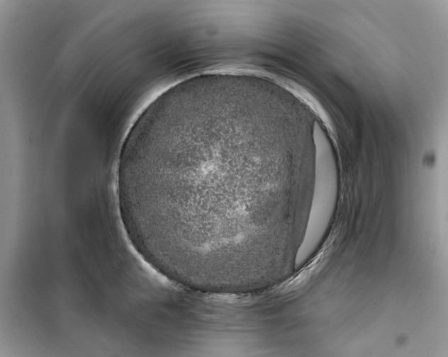 X0000099500855200805291126