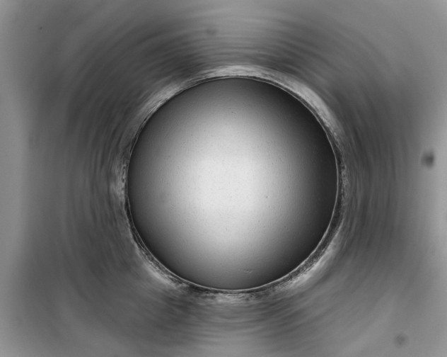 X0000099500857200805291126