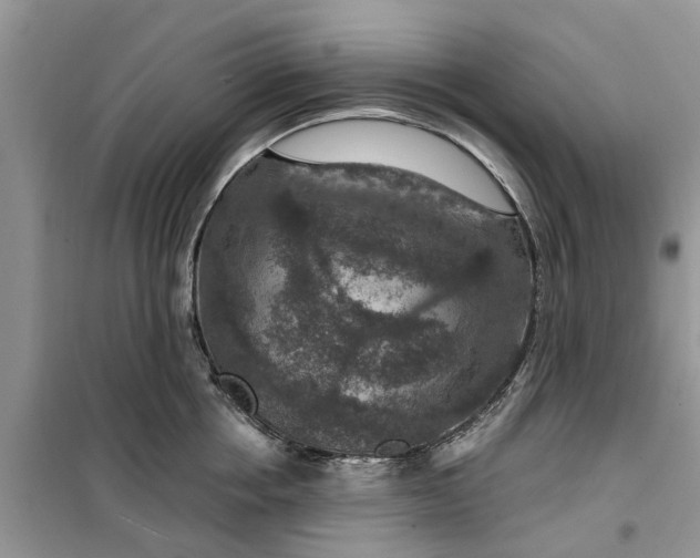 X0000099500858200805291126