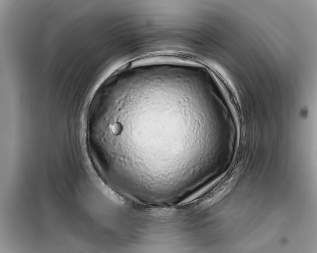 X0000099500859200805291126