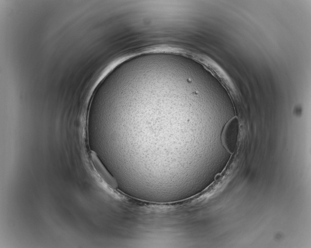 X0000099500860200805291126