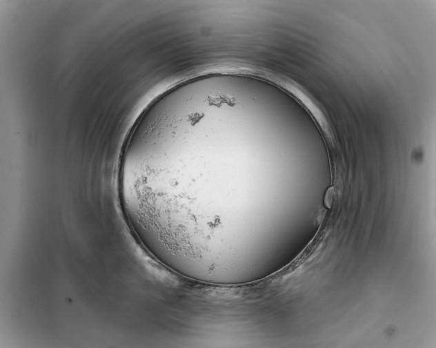 X0000099500861200805291126