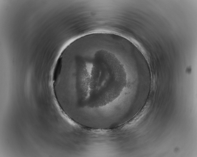 X0000099500862200805291127