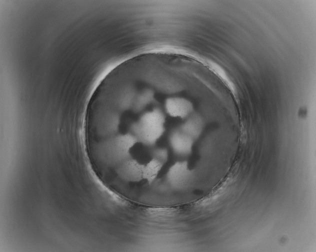 X0000099500863200805291127