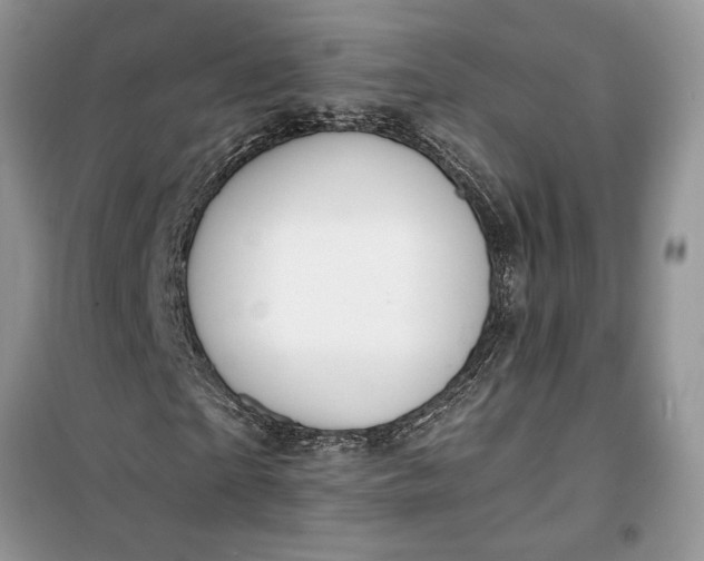 X0000099500865200805291126