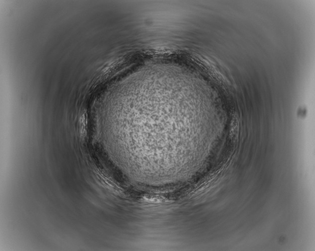 X0000099500866200805291126