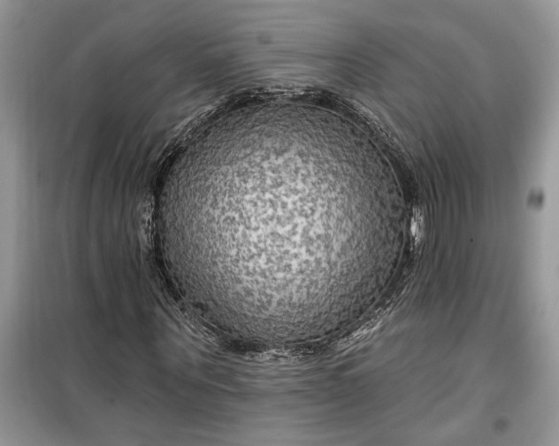 X0000099500867200805291126