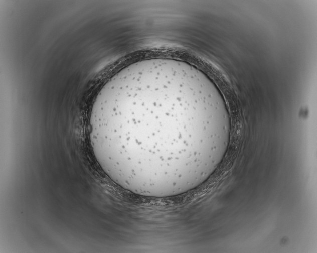 X0000099500869200805291126