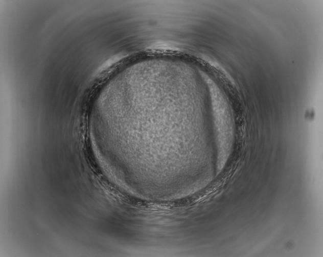 X0000099500870200805291126