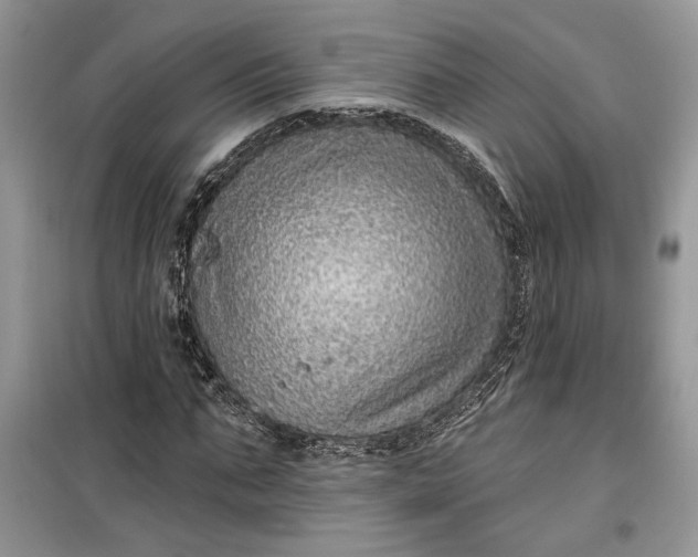 X0000099500871200805291126