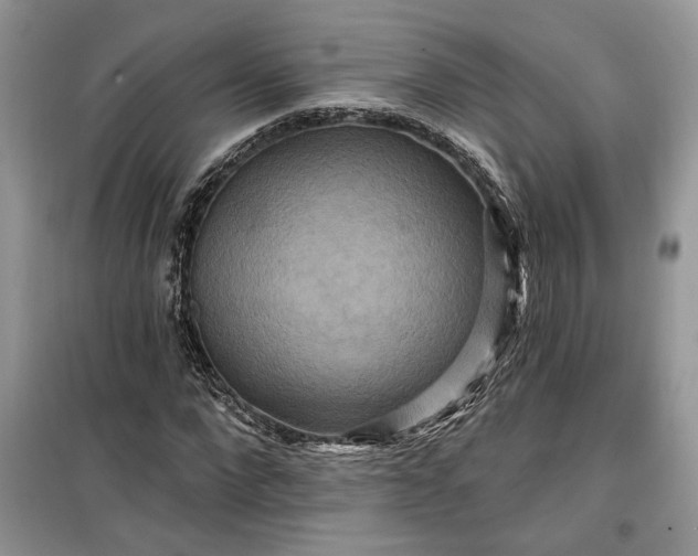 X0000099500872200805291126