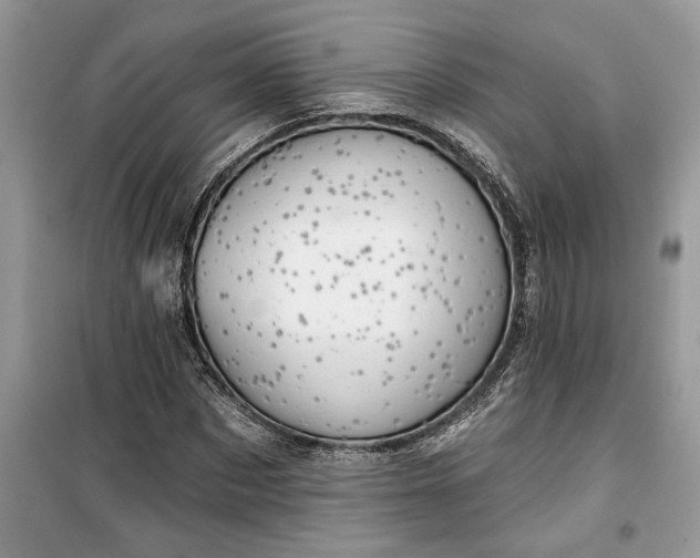 X0000099500873200805291126