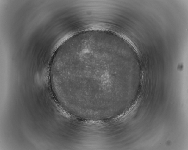 X0000099500874200805291126