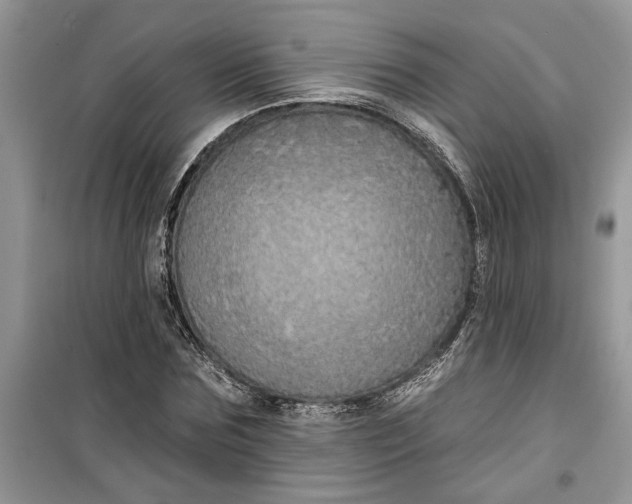 X0000099500875200805291126