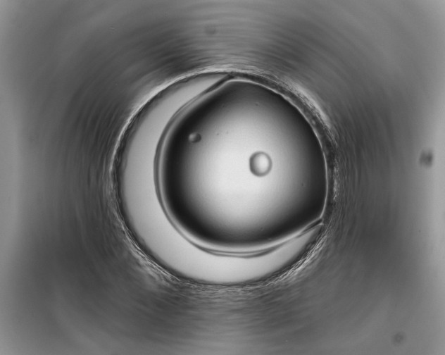 X0000099500876200805291126