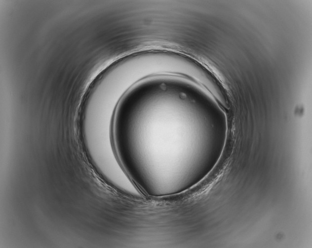 X0000099500877200805291126