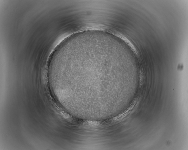 X0000099500878200805291126