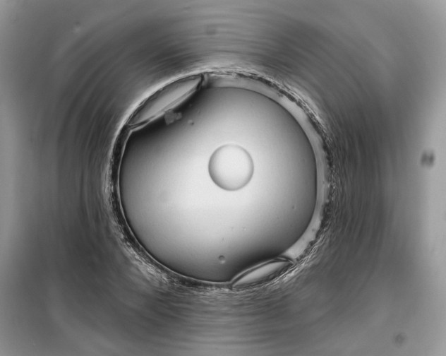 X0000099500880200805291126