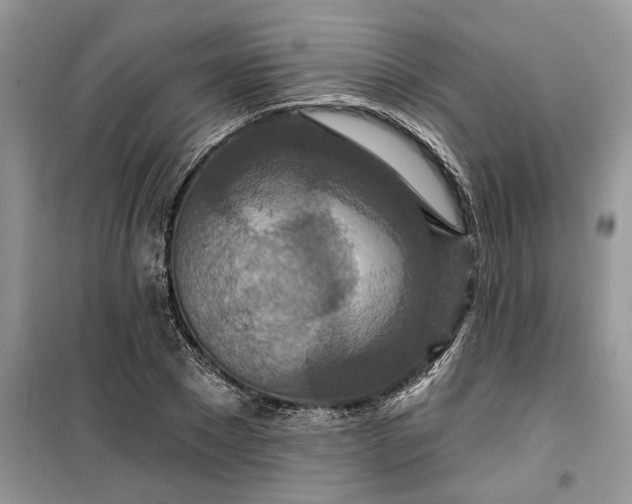 X0000099500881200805291126