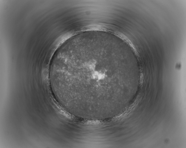 X0000099500882200805291126