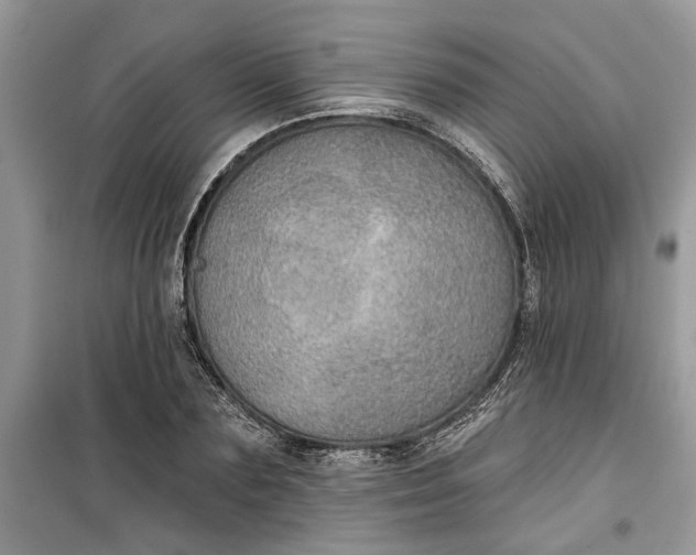 X0000099500883200805291125