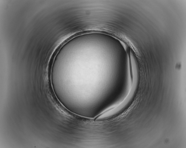 X0000099500884200805291125